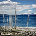 Jean Lapujoulade - Lac de Yellowstone